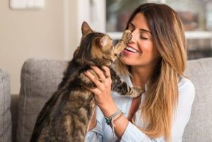 What To Know When Transitioning To A New Apartment With Your Cat